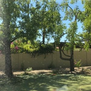 Meet your Posher, Barb